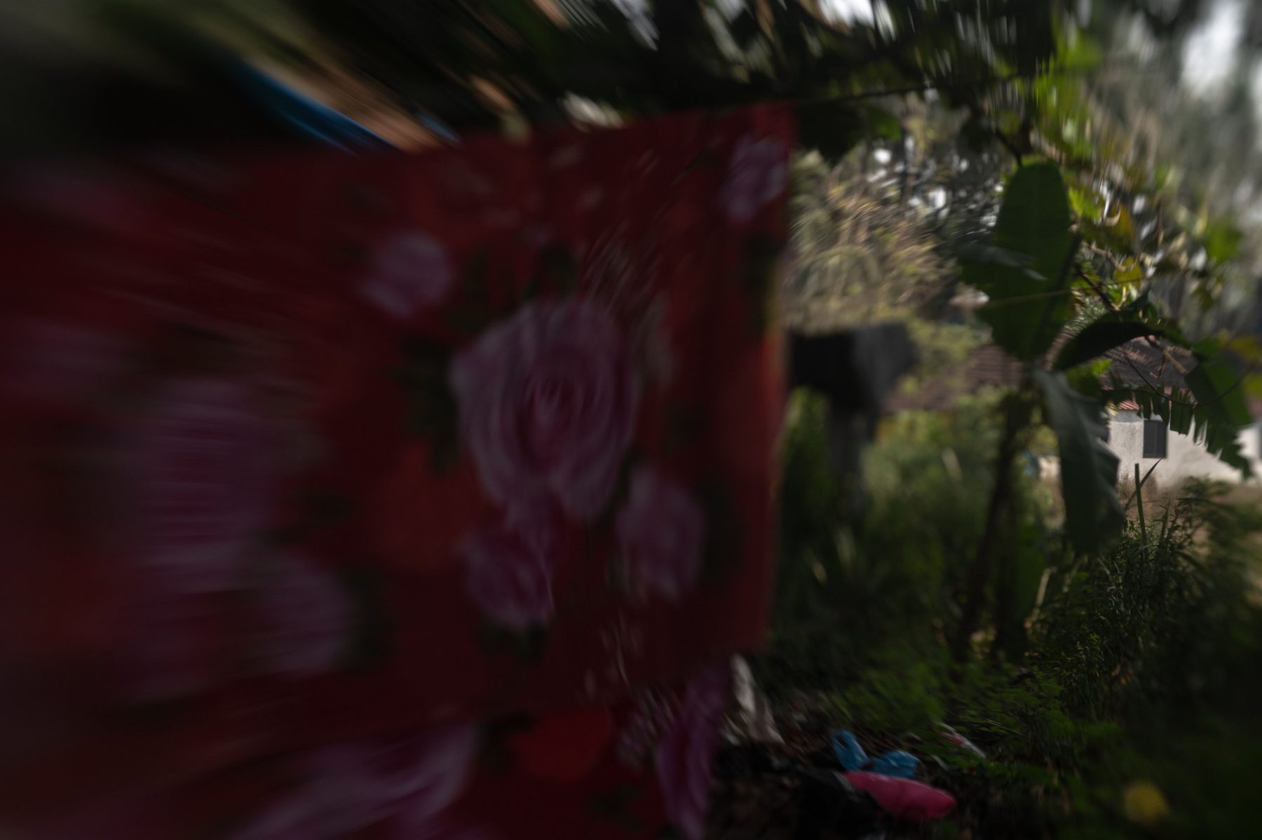 A red cloth printed with pink roses hangs on a line in a garden, blurred by motion, with banana leaves and a tiled house beyond.
